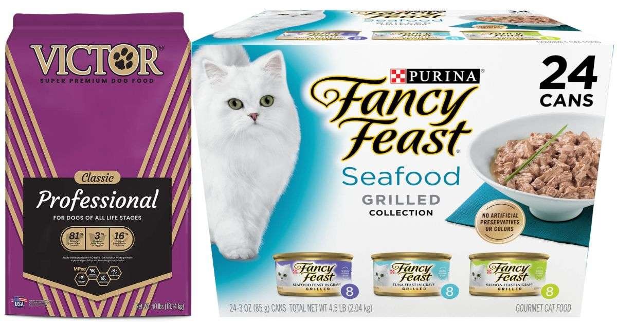 Best Cat Food