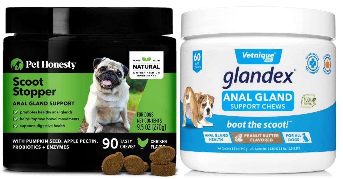 Best Dog Food for Anal Gland Issues