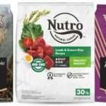 Best Hunting Dog Food