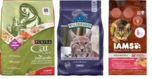 Best Outdoor Cat Food