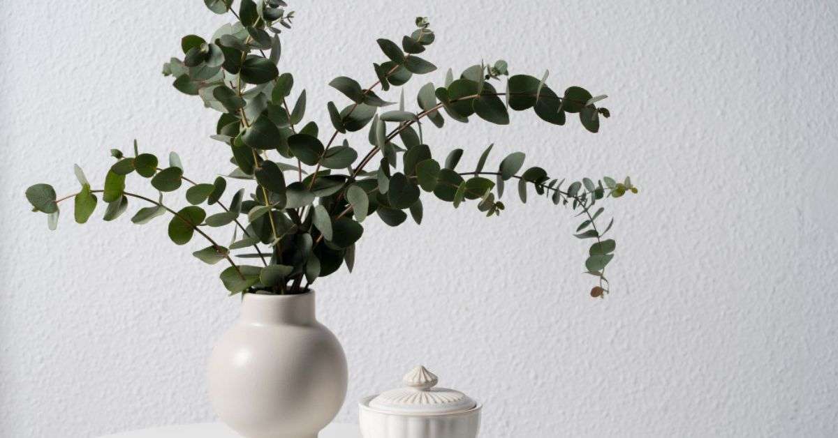 Minimalist Eucalyptus Leaves Home Decor