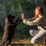 Understanding Pet Behavior and Body Language