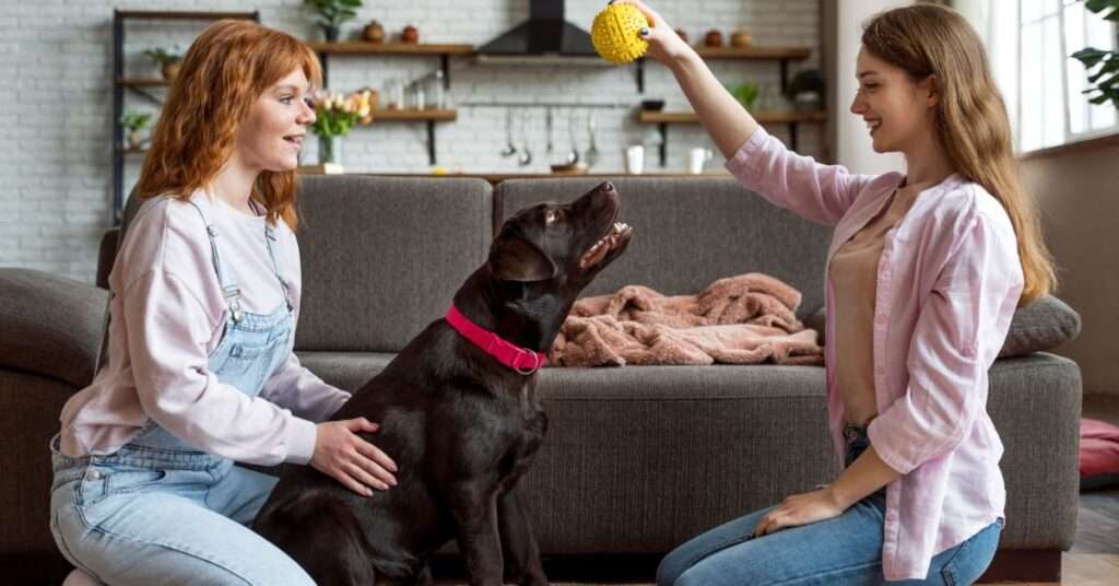 Safety Tips for Pets at Home