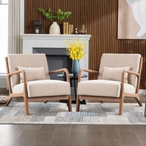 Modern Accent Chairs