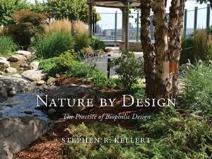 Biophilic Design Products on Amazon