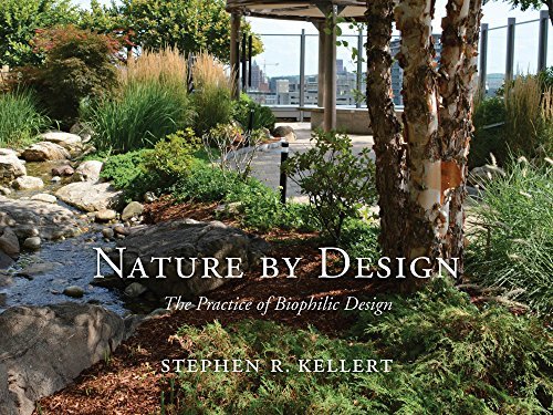 Biophilic Design Products on Amazon