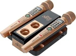 Karaoke Party Rental