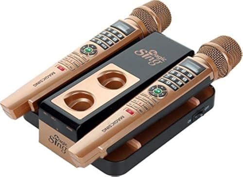 Karaoke Party Rental