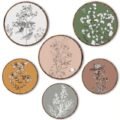 Boho Revival Curated Wall Décor Set