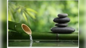 Spa-Inspired Bathroom Interior Concepts