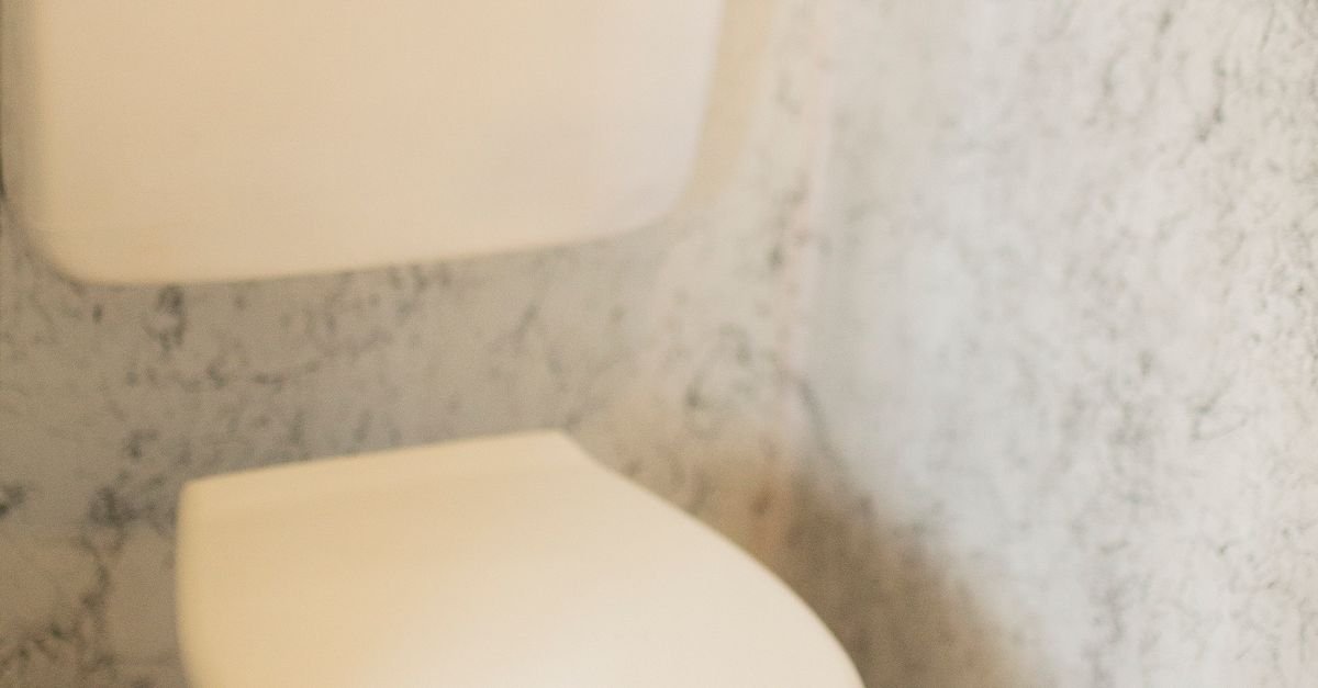 Dual-Flush Eco Ceramic Toilet Units