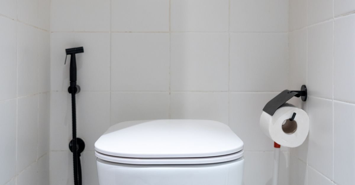 Dual-Flush Eco Ceramic Toilet Units