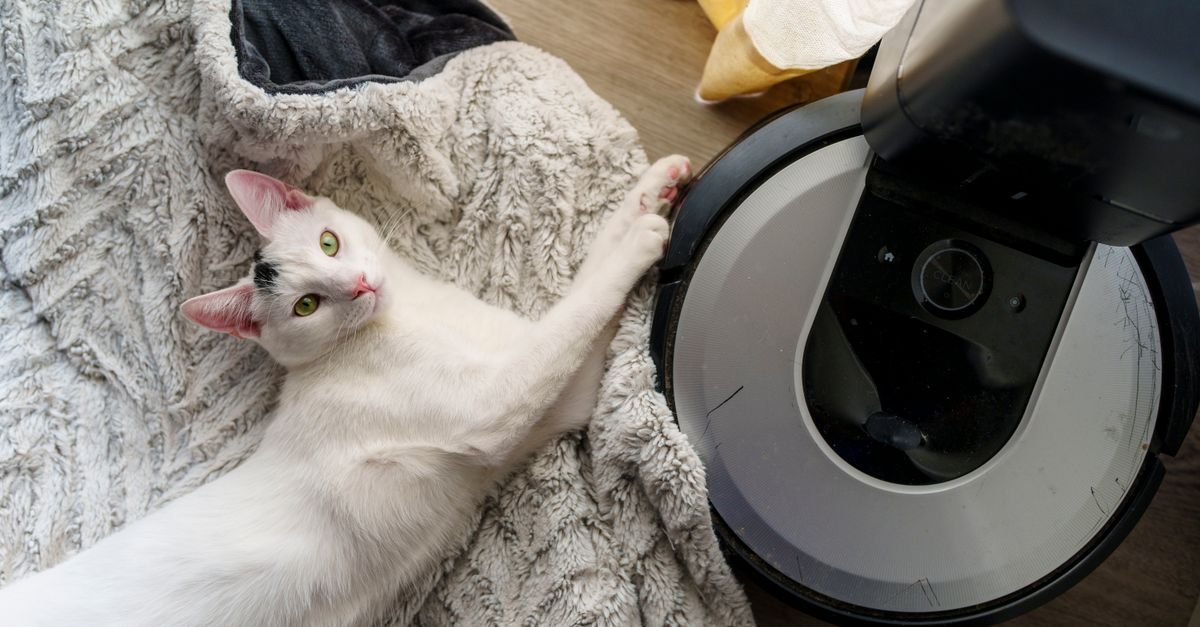Robot Vacuum Pet Hair