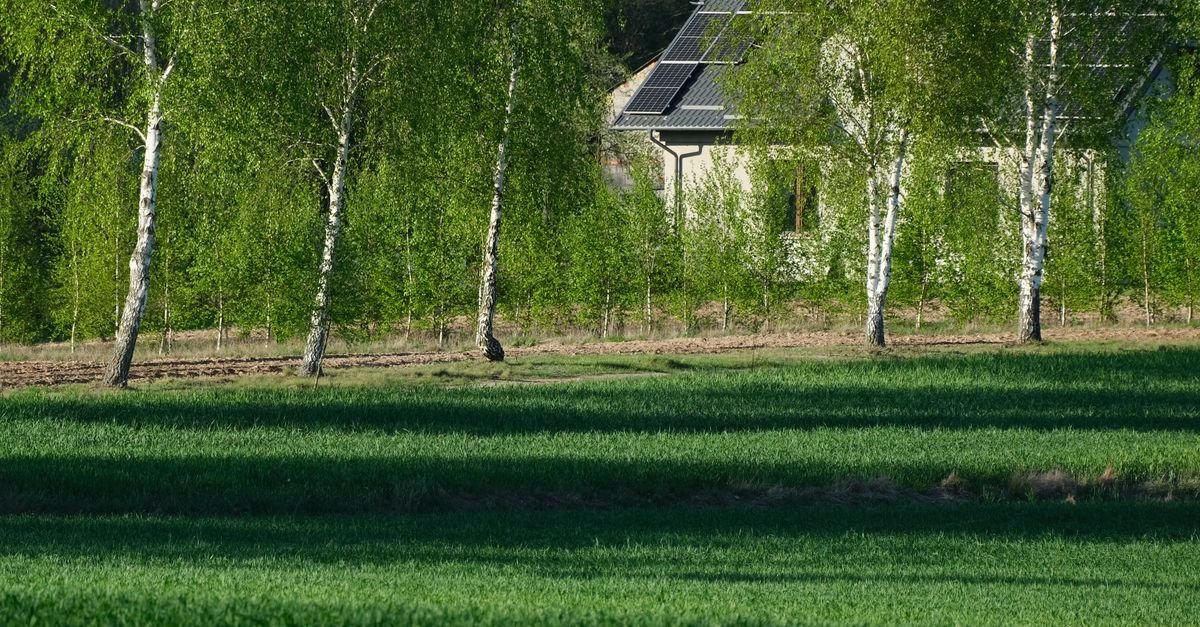 Eco-Friendly Home