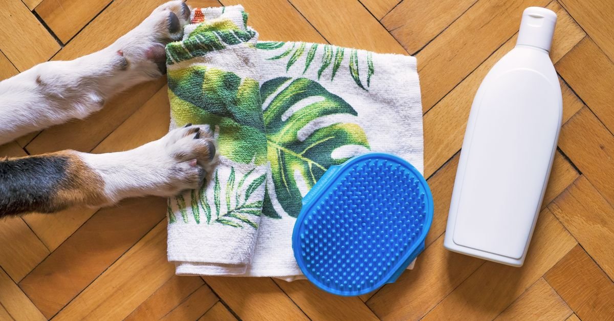 Pet Products A Clean Home