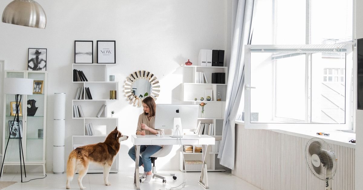 Pet-Friendly Home Setup