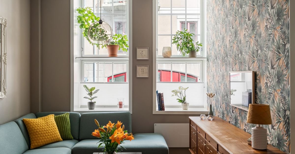 A small cozy living room with a large window and plants