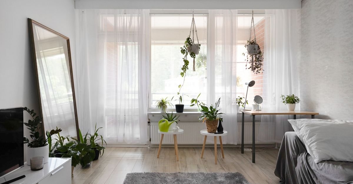 A bright rental apartment living room with plants, sheer curtains and a leaning mirror
