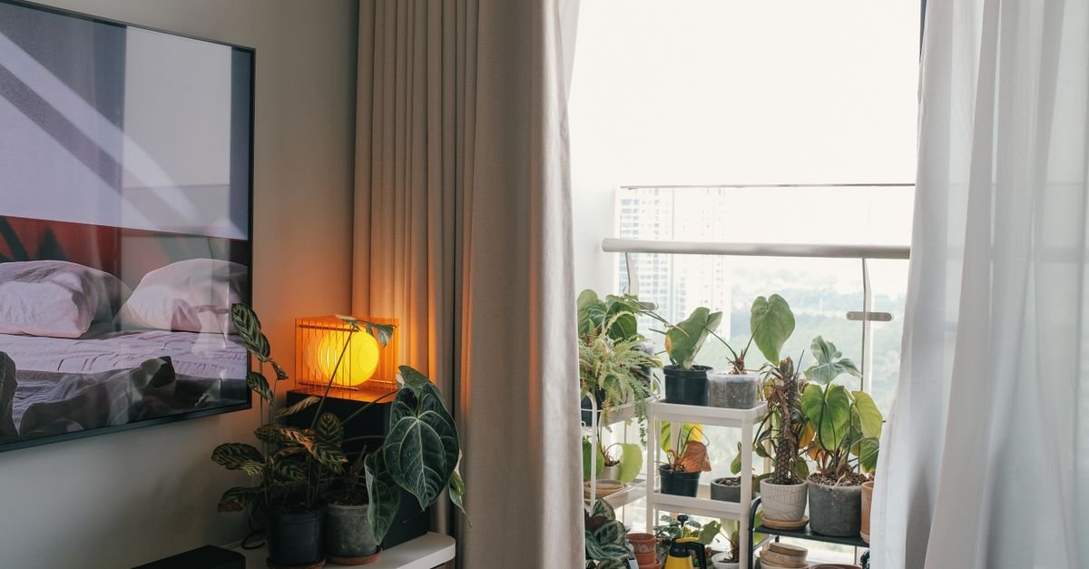 Warm lamp lighting a relaxed living space with plants