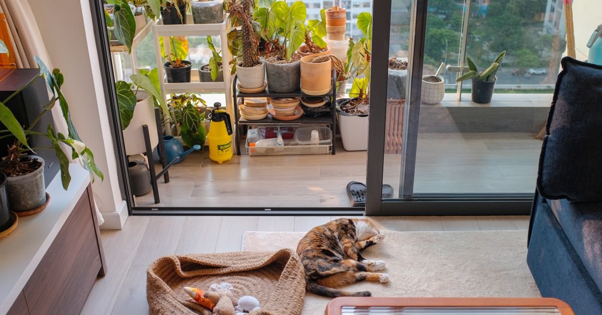 A plant-filled balcony beside a cozy pet bed