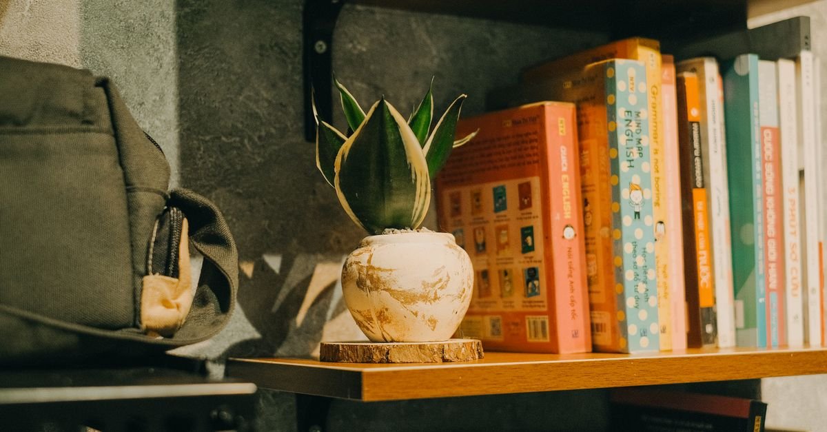 Colorful books and a potted plant on a warm wood shelf